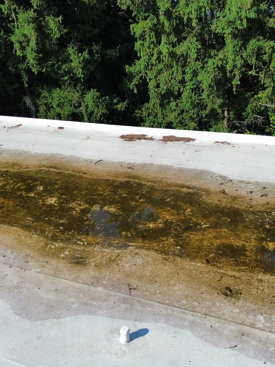 Commercial Roof Recover in Sterling Heights, MI